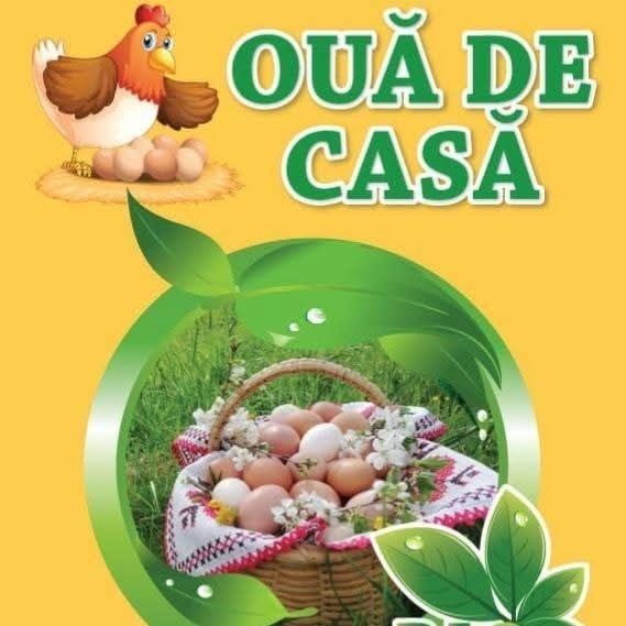 Ouă de casă - Șercăița