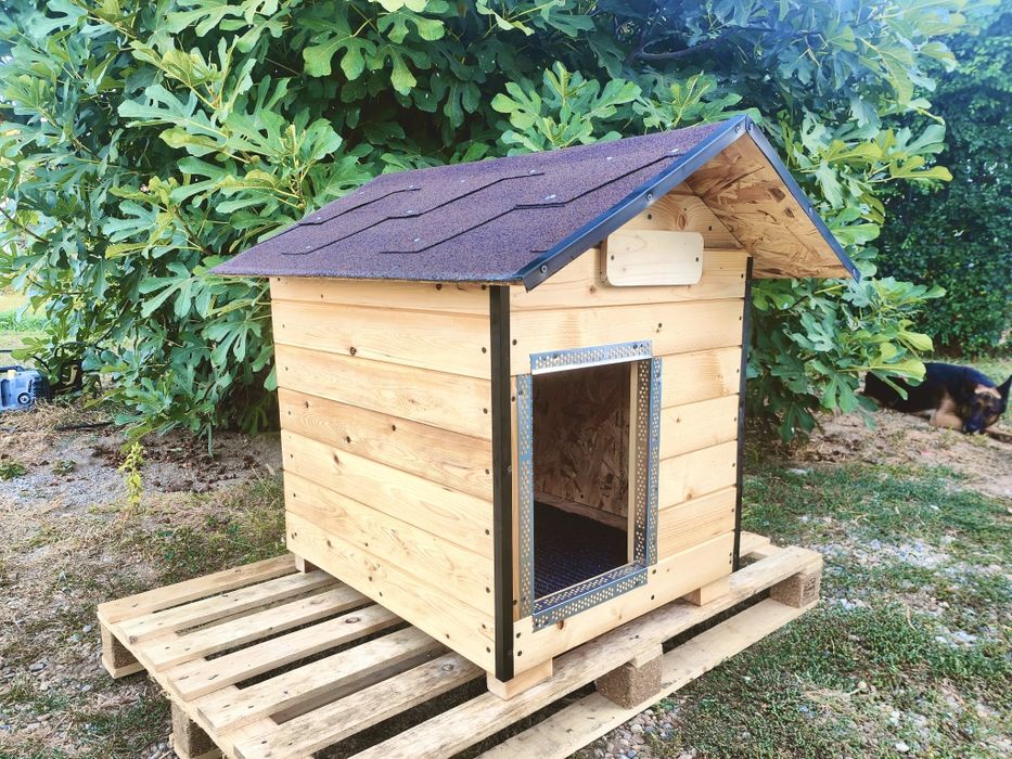 Cusca caine noua, izolata, calitate premium