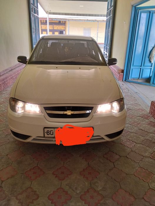 Нексия 2 гибрид простой