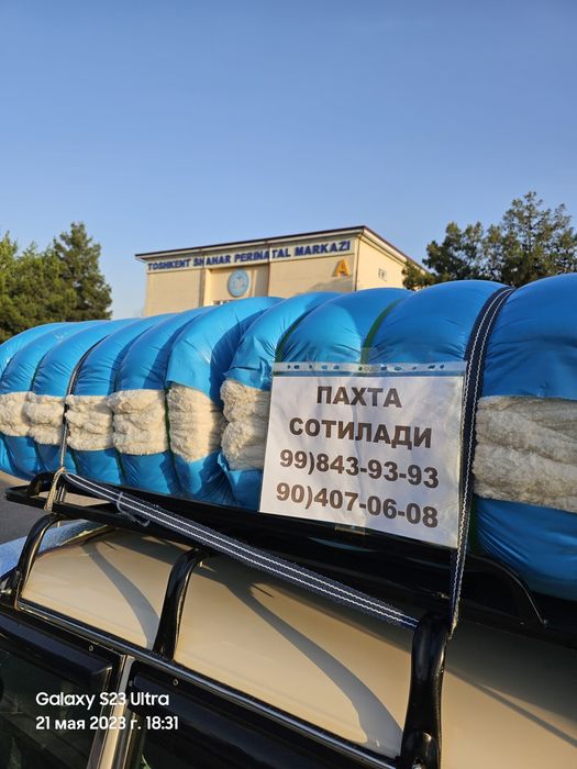 Той пахта сотилади