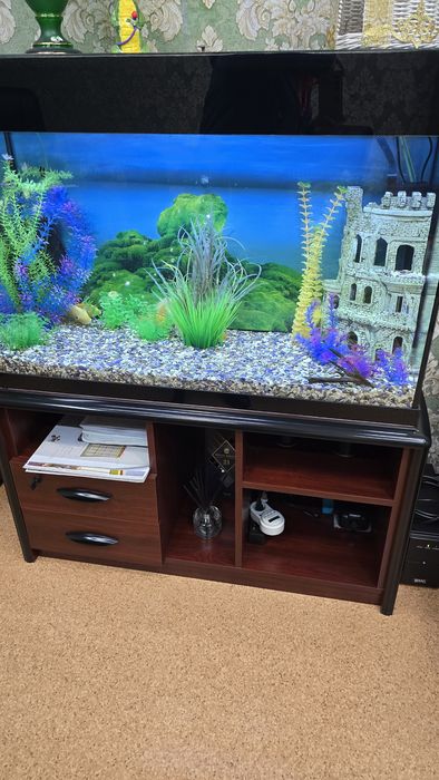 Аквариум на тумбе, с рыбками,200л