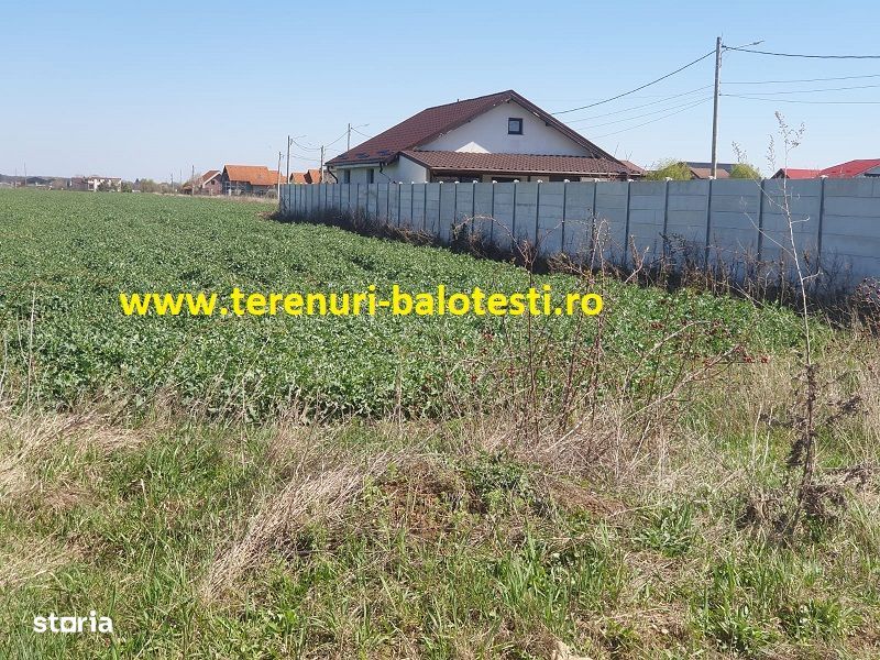 Teren Balotesti,550 mp,langa casa locuita,electricitate ,gaz-70 metri
