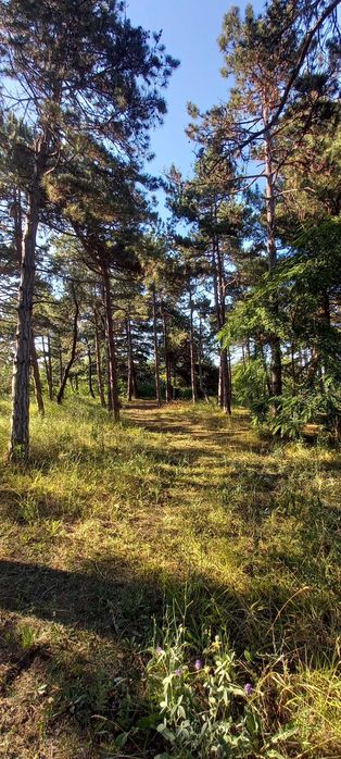 Продава се двустаен апартамент в гр. Поморие