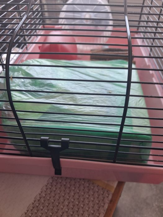 Căsuța pentru hamsteri