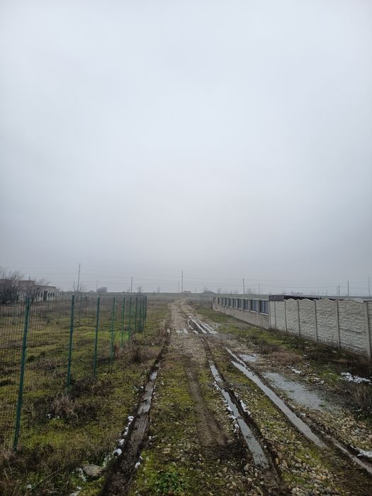 Teren Simian  zona Avicola