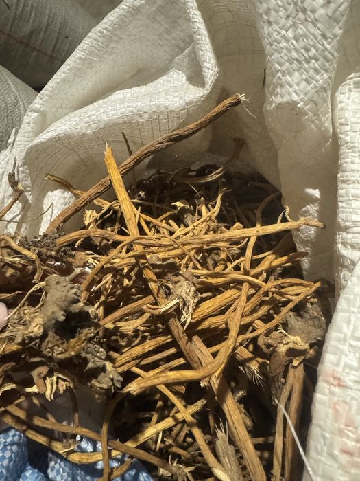 Ghintura de vanzare 50 lei/kg