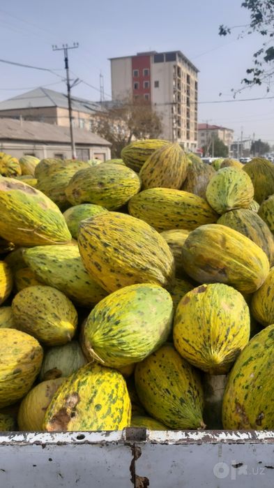 Qovun  optom narxlarda sotiladi  donasi 3000 ming