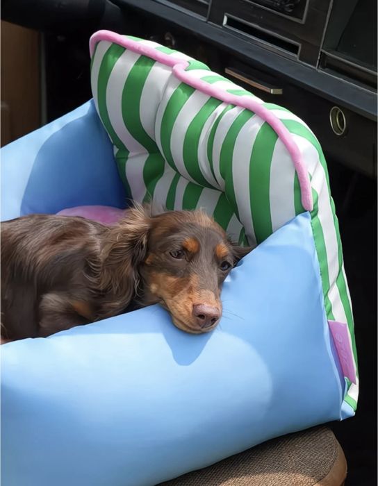 Переноска для собак и кошек