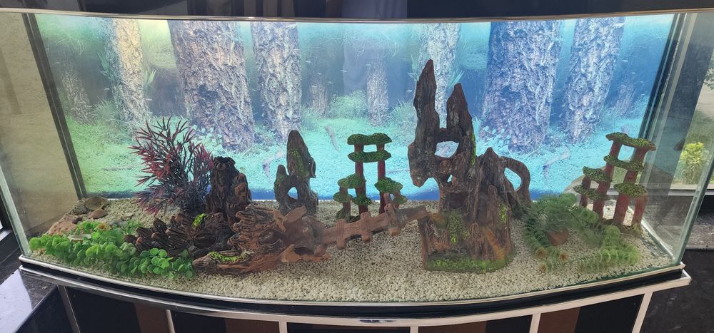 Аквариум Akvarium