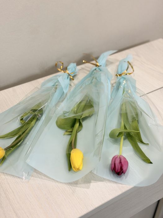 Тюльпаны по 600 тнг