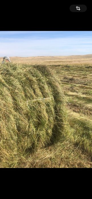 Рулон сены, тюк, корм