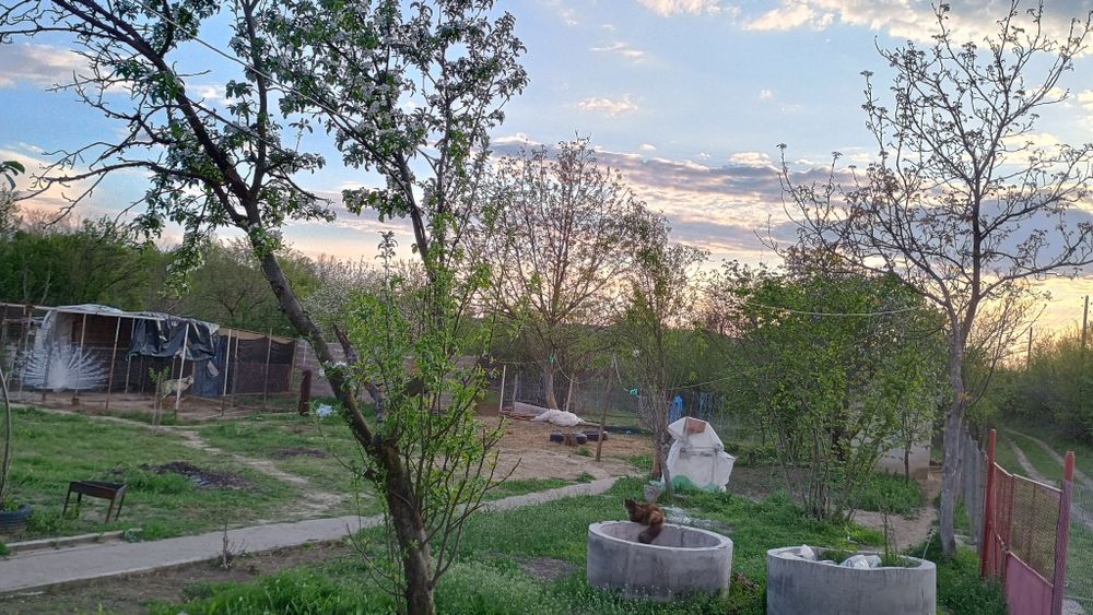 Продава се Къща в Лом - 60 кв.м за 230 €/кв.м - Снимка #3