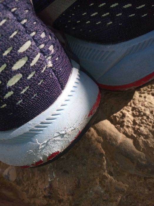 Nike Zoom Pegasus 33