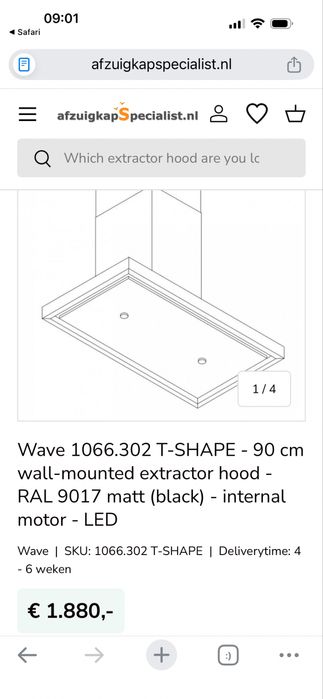 Hotă bucatarie profesionala