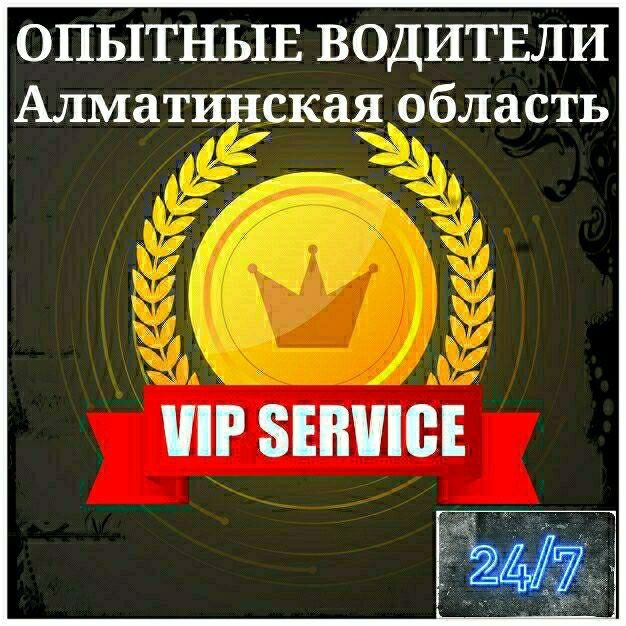 Трезвый водитель