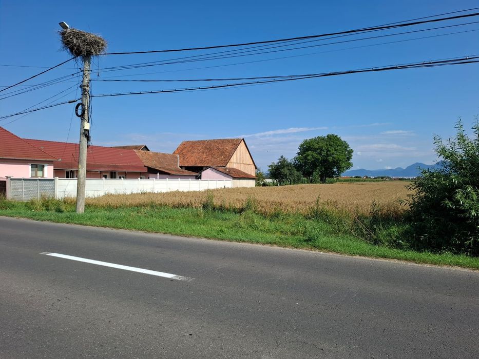 Vând teren în zona Stupini