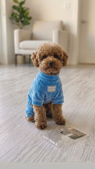 Продам комбинезоны для собачки