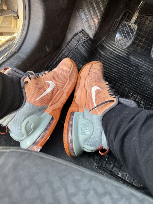 Nike alpha trainer 5