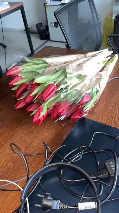 Тюльпаны за 600тг