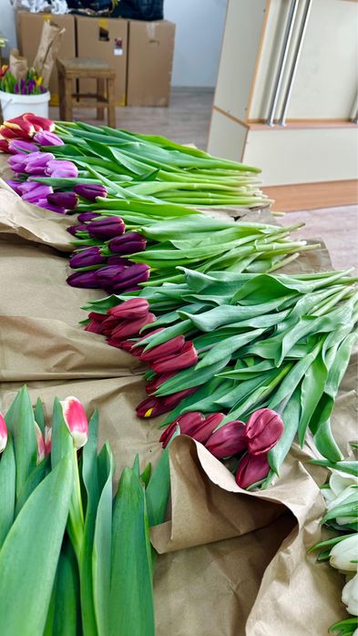 Тюльпаны оптом Астана