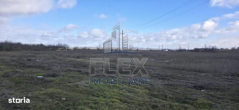 Teren intravilan Delta Dunarii 38300 mp