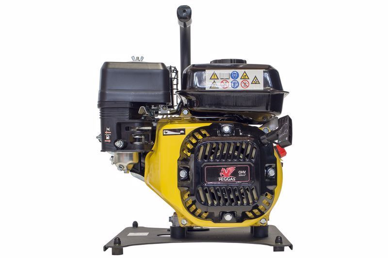 206bari Waspper motor benzina aparat spalat presiune vap karcher