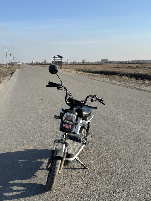 электорнои велик