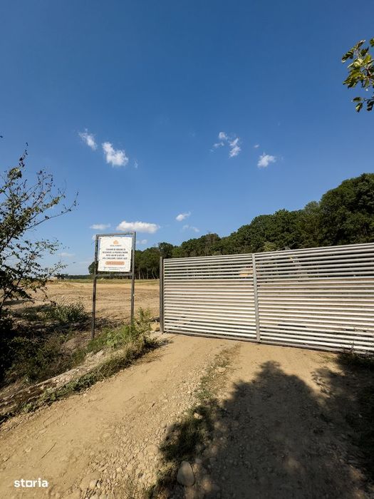 Loturi de teren, preturi promotionale-cu deschidere la padurea Snagov!