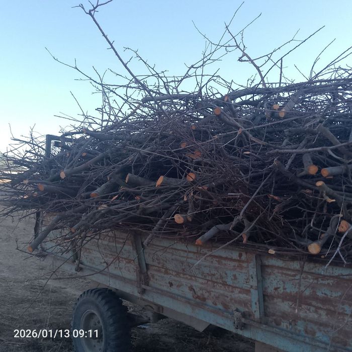 Utin sotiladi narxi kelishiladi