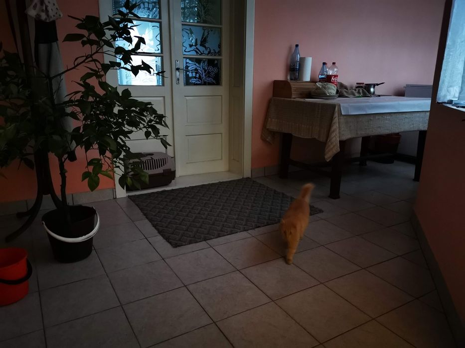 Casa de vanzare Paru, jud Timiș.