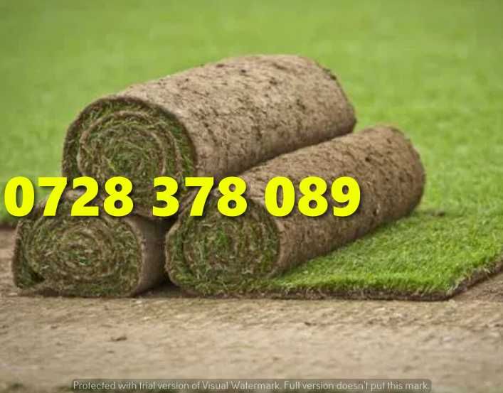 Gazon / Insamantare / Rulouri de Gazon