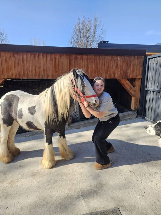 Gypsy Wanner in vârstă de 3 ani