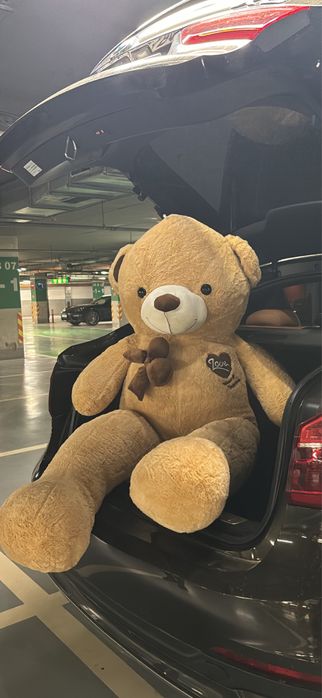 Огромен кафяв мечок