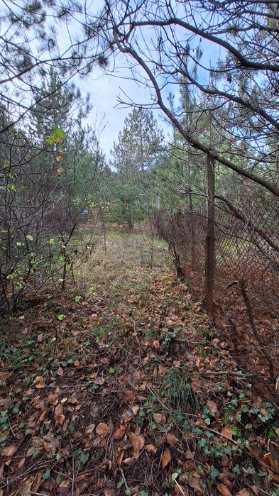 Парцел в Горносрав