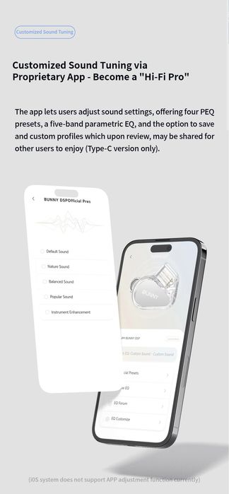 Tanchjim Bunny DSP - IEM наушники 24-бит/96кГц