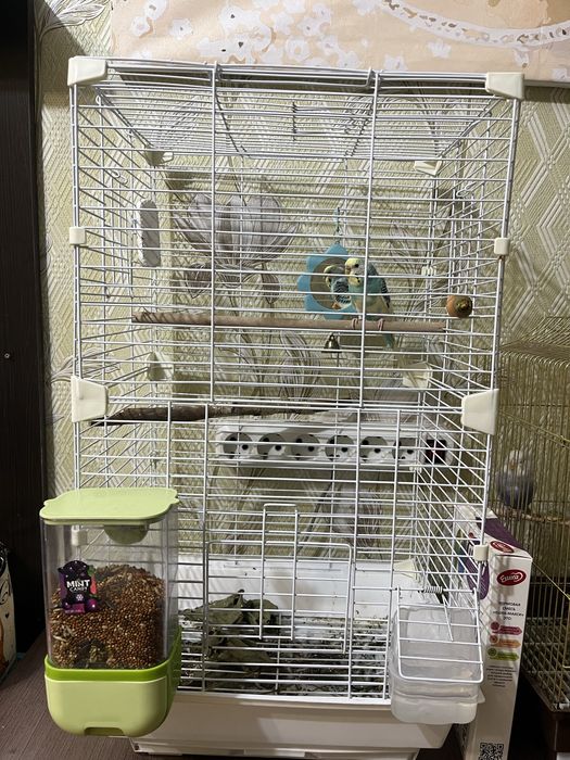 Продам попугаев с клеткой