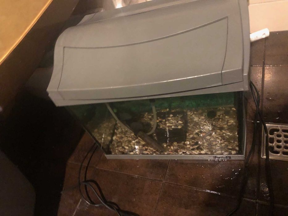 Аквариум TETRA и RS Electrical