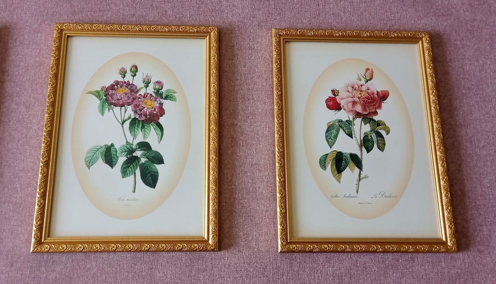 Картины- постеры "Розы-Винтаж-Виньетка".