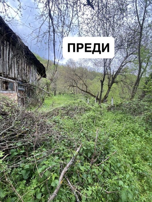 Косене и поддръжка на имоти