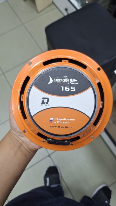 Dl Audio Barracuda