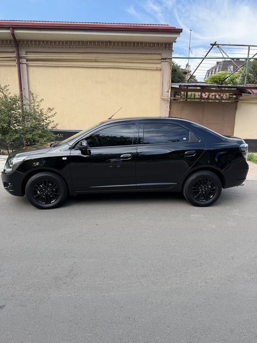 Kobild 2025 yil 3000 km yurgan midnayd