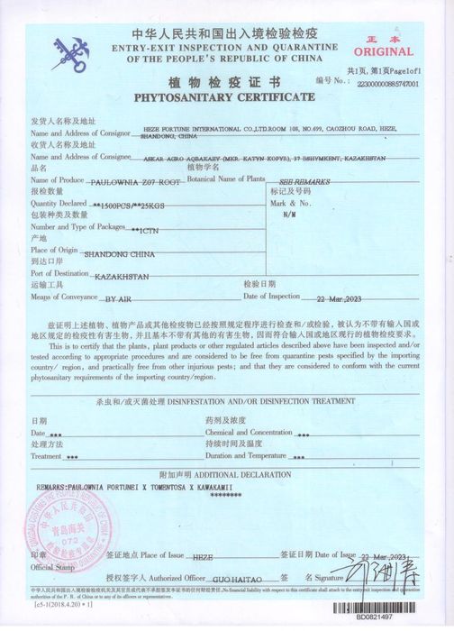 Саженцы павлония