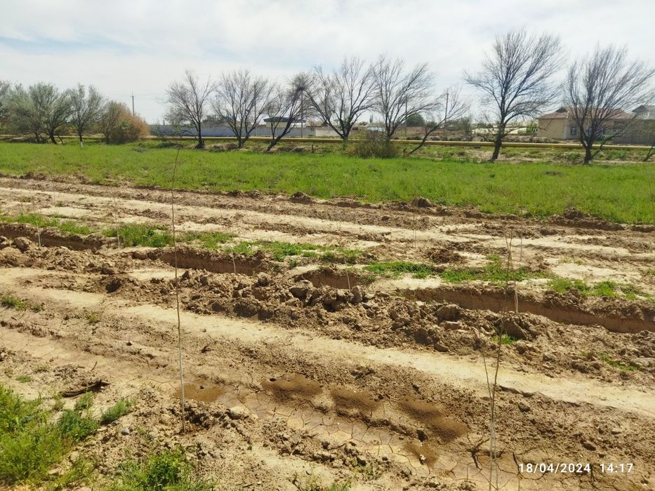 Qarshi ahaharda joylashgan yer uchasrka