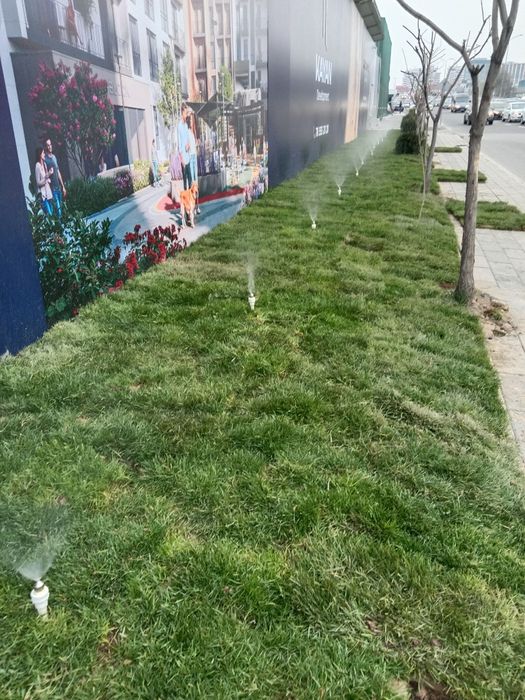 Садовник боғбон ишларини бажарамиз