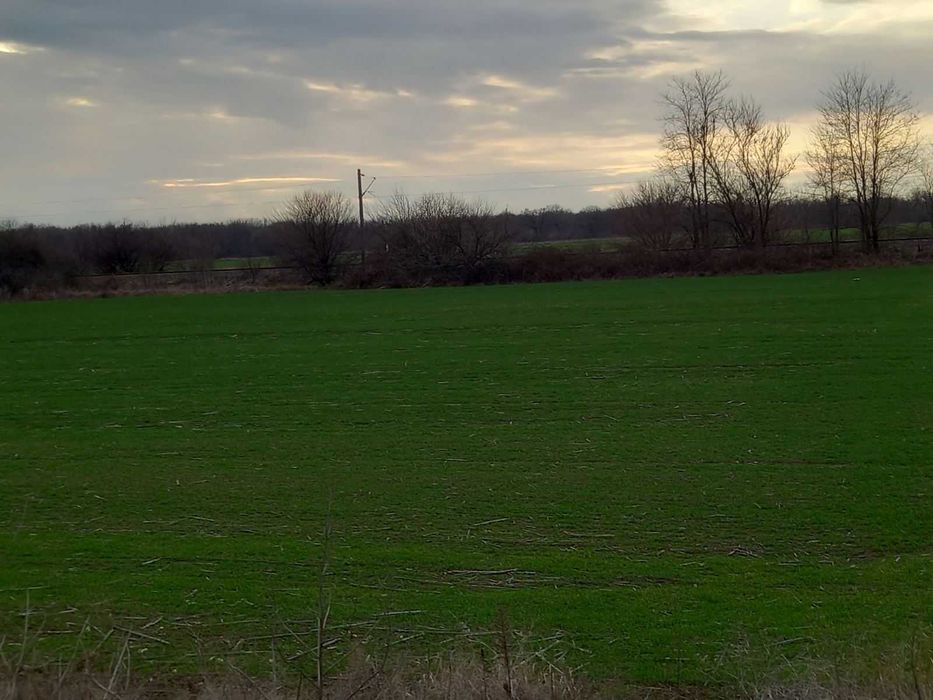 Продава се Парцел в с. Труд, Област Пловдив - 5700 кв.м за 50 €/кв.м - Снимка #5