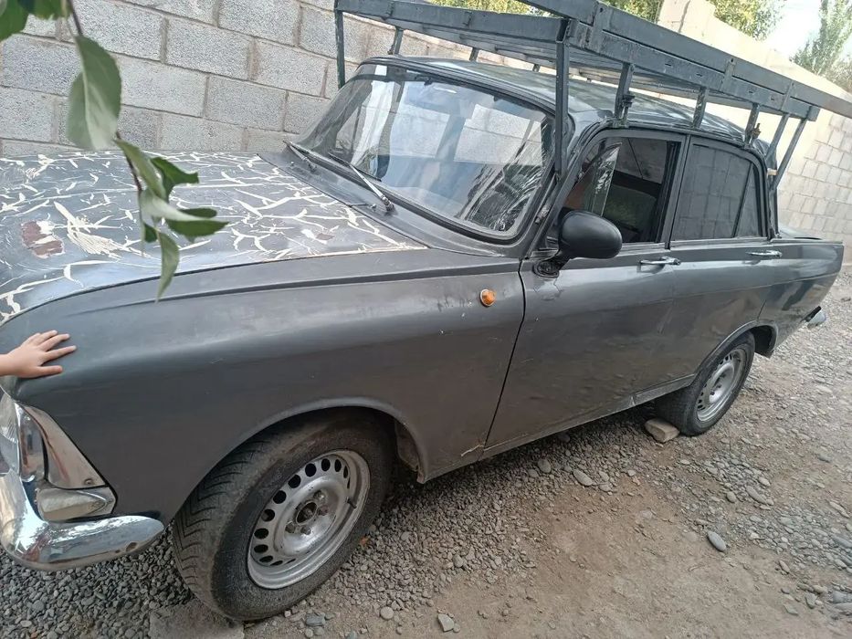 Маскивич 154566&