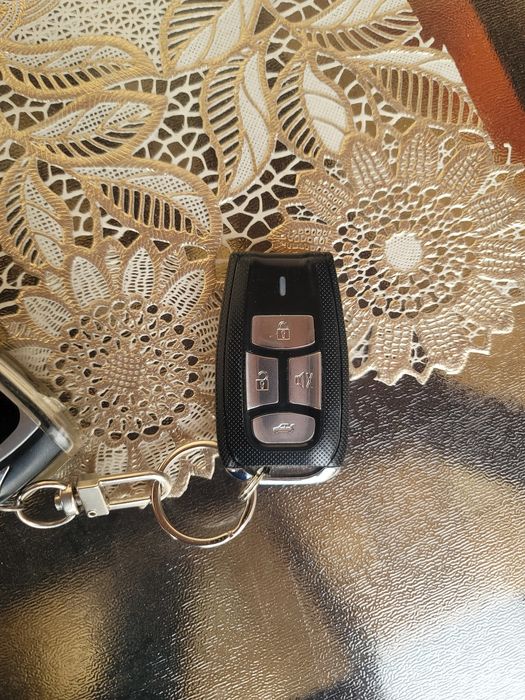 Easycar ex1 rabochiy