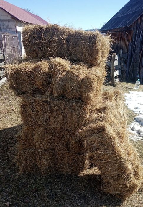 Baloți de fân uscat