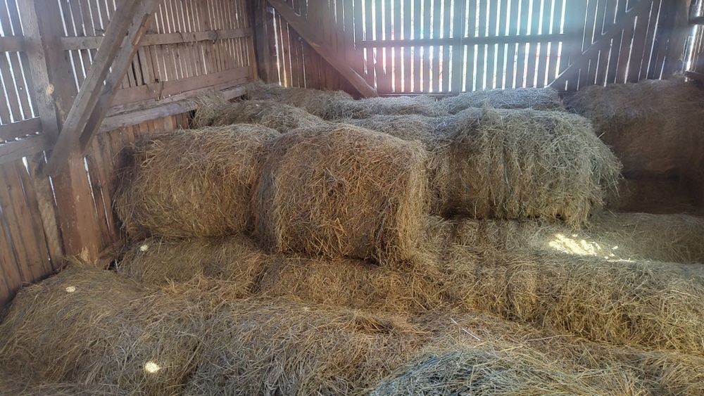 Vând Baloți de fan 120x120