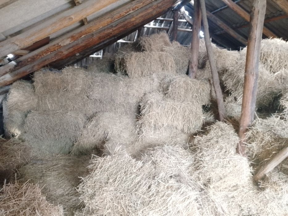 Сено прес большие пресы